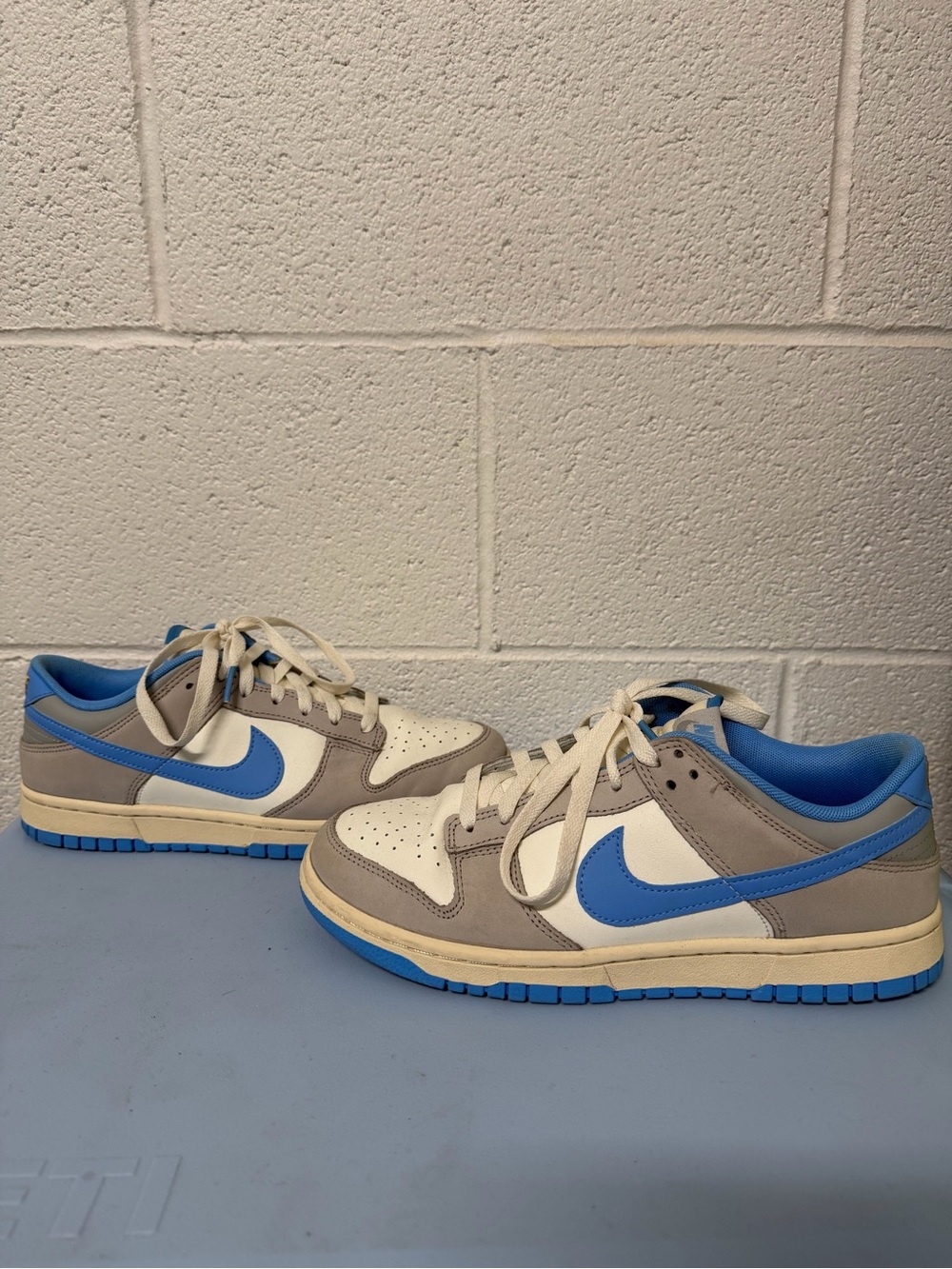 Nike Dunk Low in Blue, Gray & White
